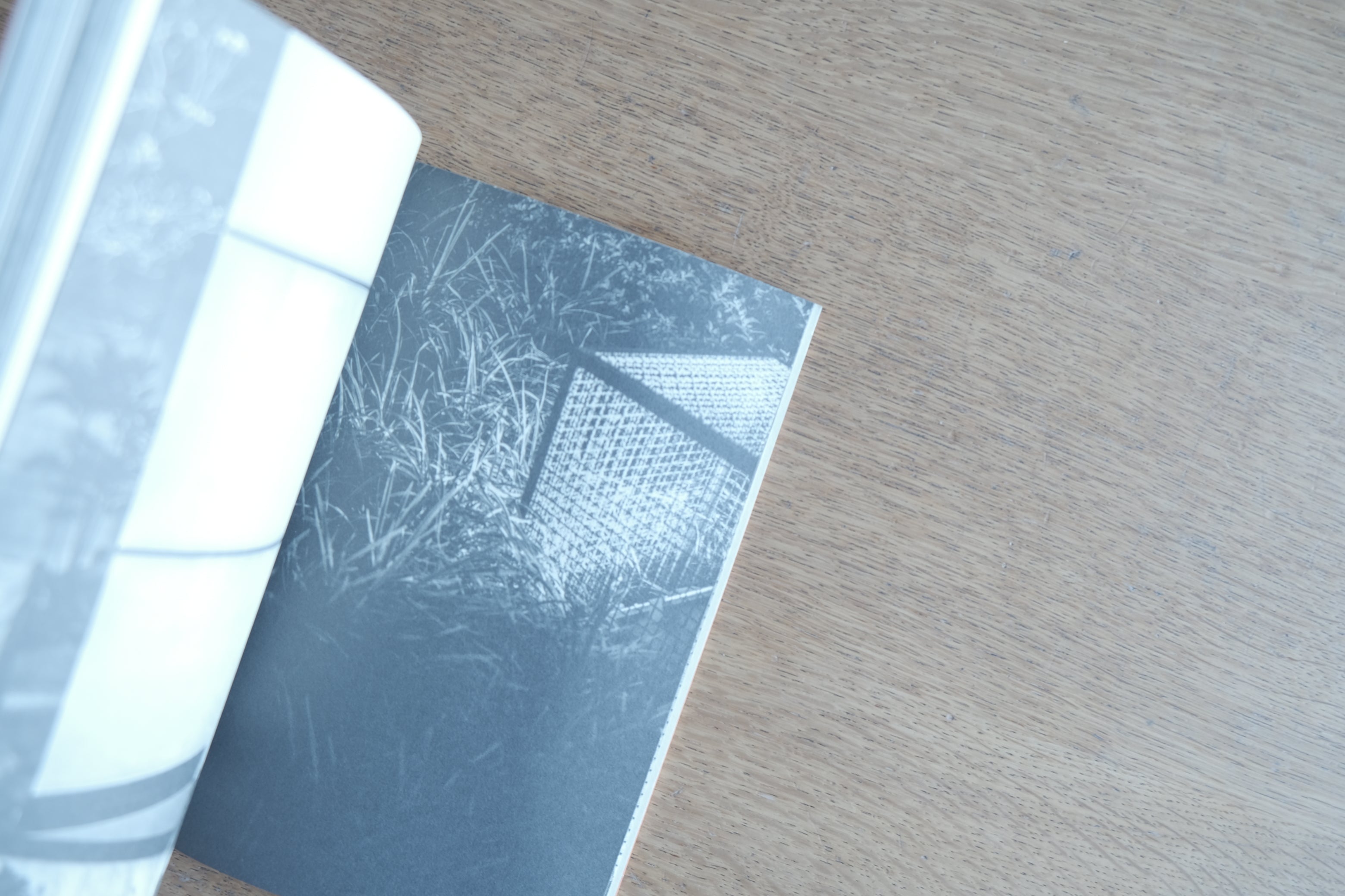 EXCLUSION / INCLUSION｜Ewa Priester｜300部限定フォトブック（2015｜Pivô / Centro Cultural São Paulo）