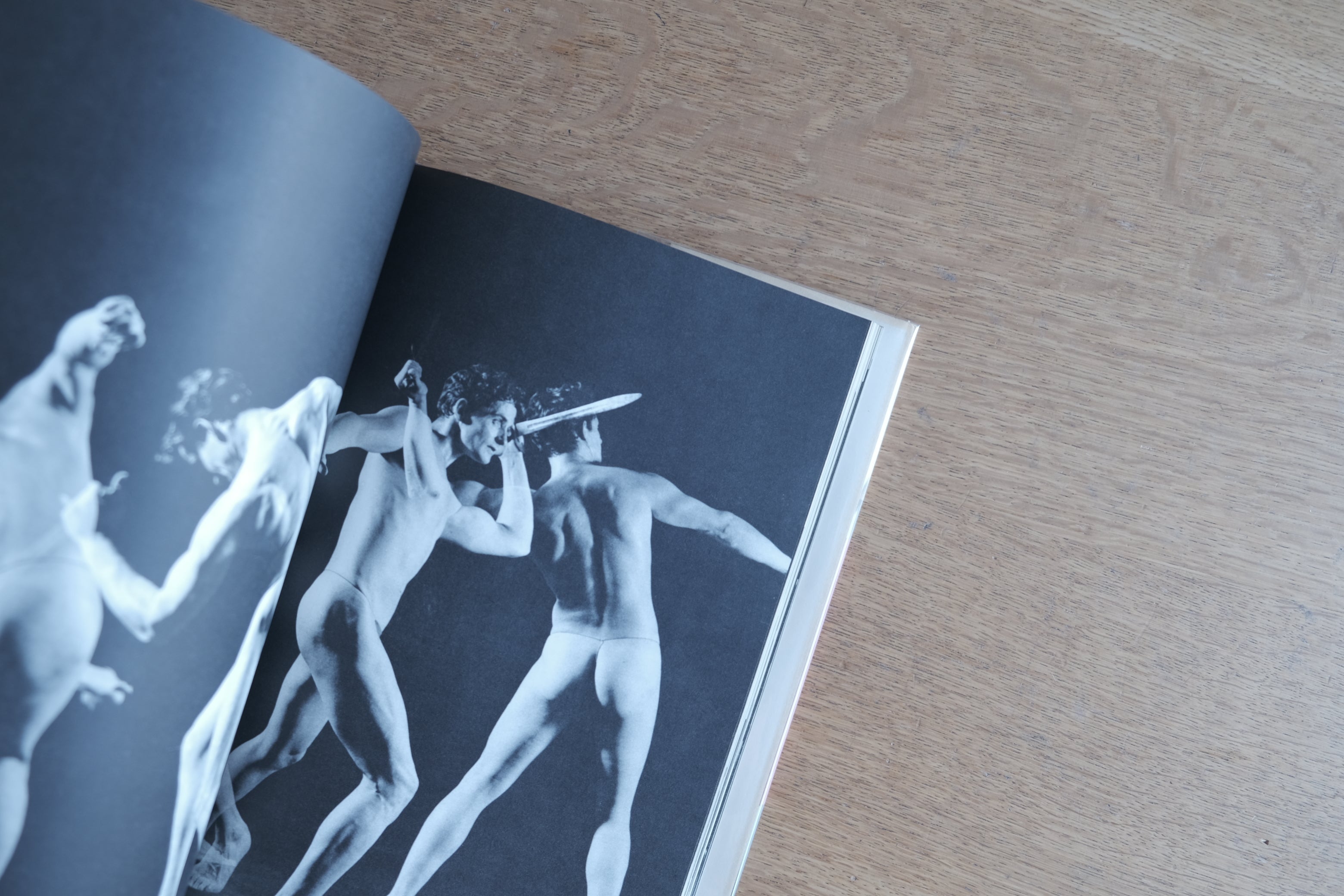 The Human Form in Action and Repose｜人体動作写真資料集（1966年）