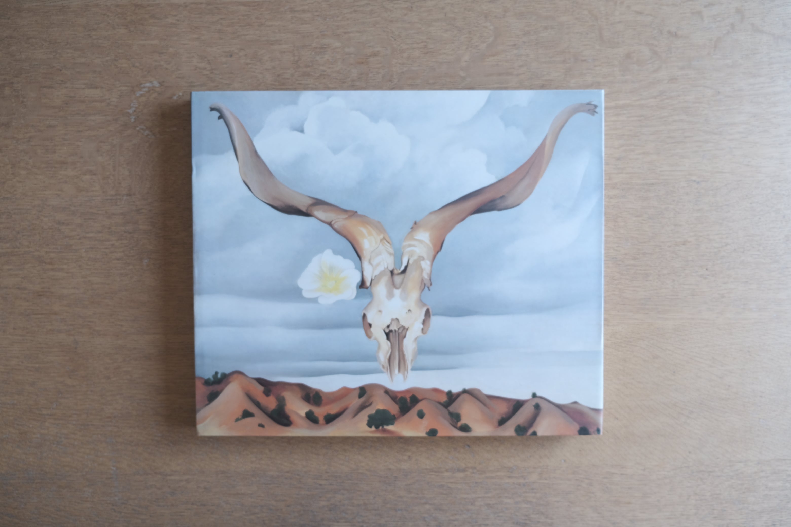 ジョージア・オキーフ画集 イン・ザ・ウェスト｜Georgia O'Keeffe In