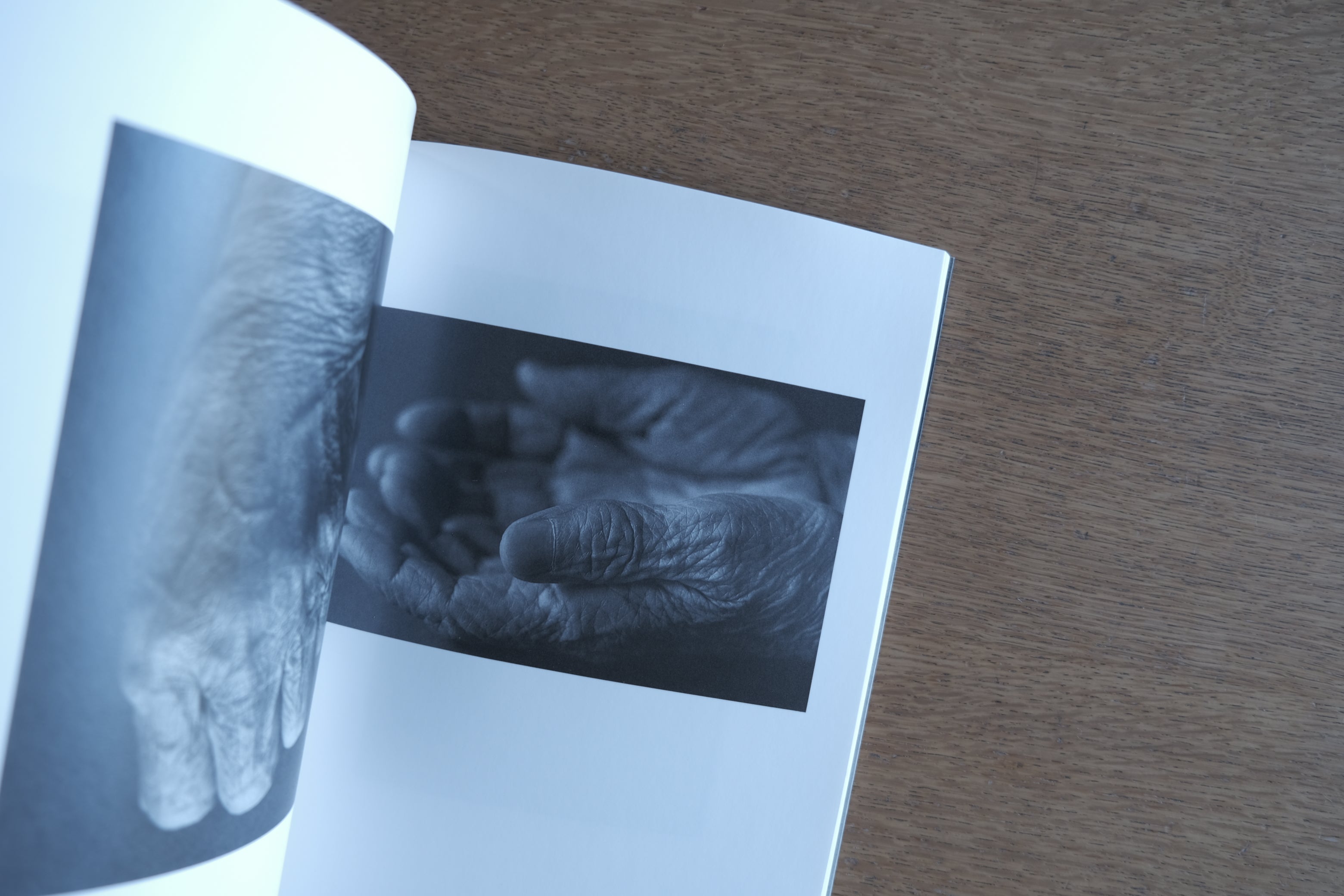 石内都｜モノクローム ― 時の器 / Time Textured in Monochrome｜東京国立近代美術館 図録（1999）