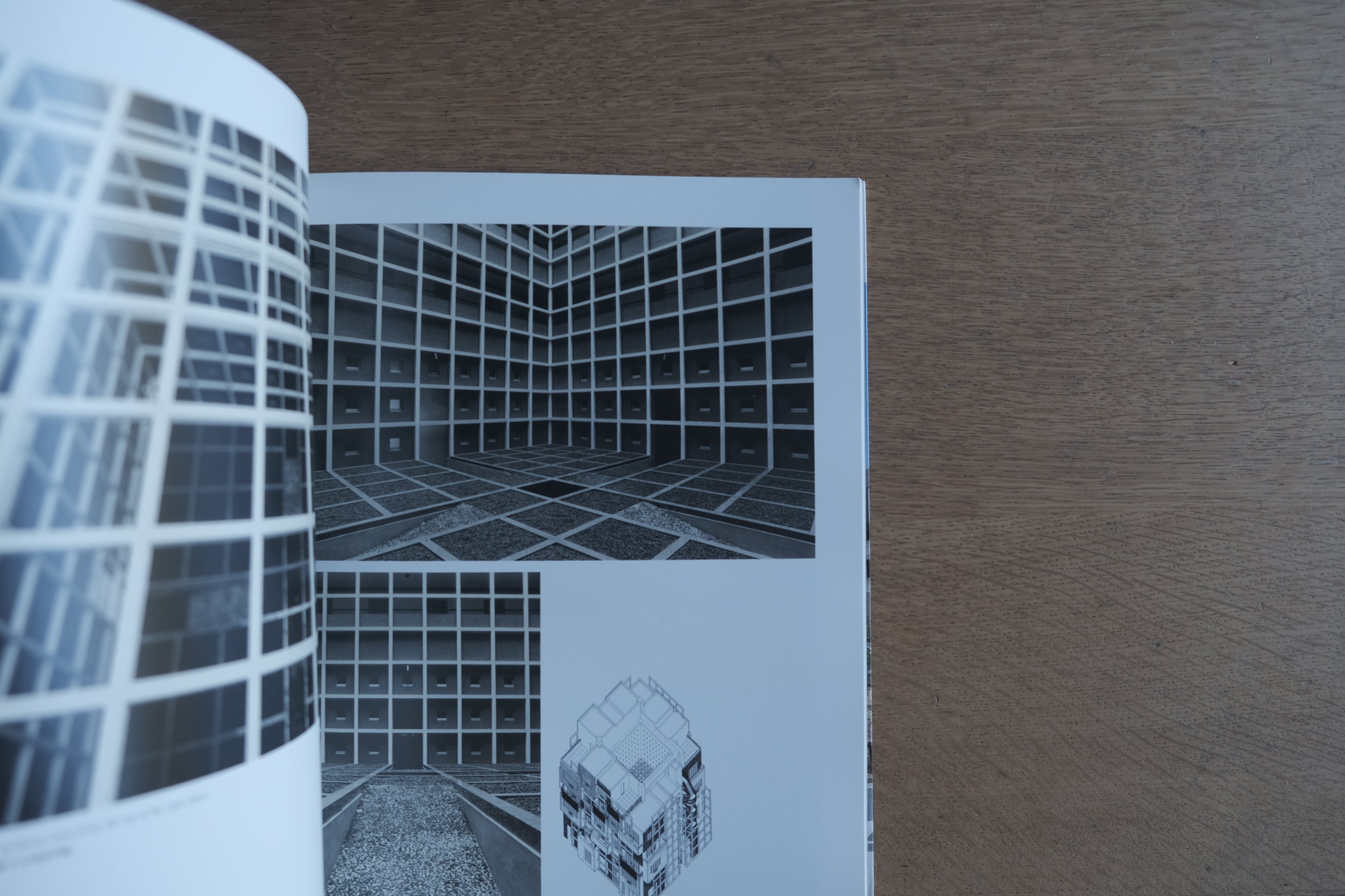 見過ごされた価値を、もう一度。ヴィンテージ書籍の選書から。