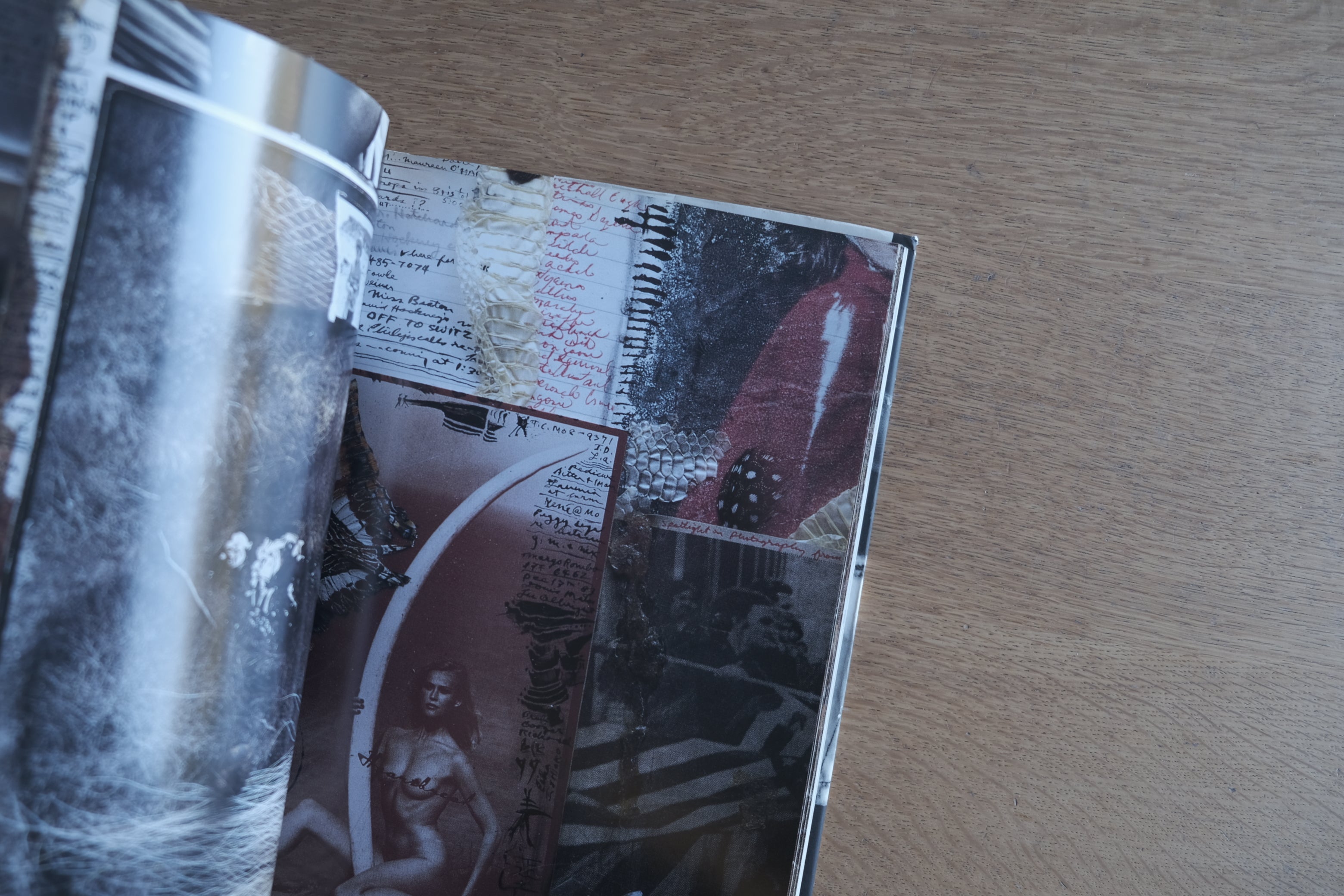 Peter Beard『Diary』ピーター・ビアード 日記 写真集｜飯沢耕太郎 解説｜リブロポート 1993年 初版
