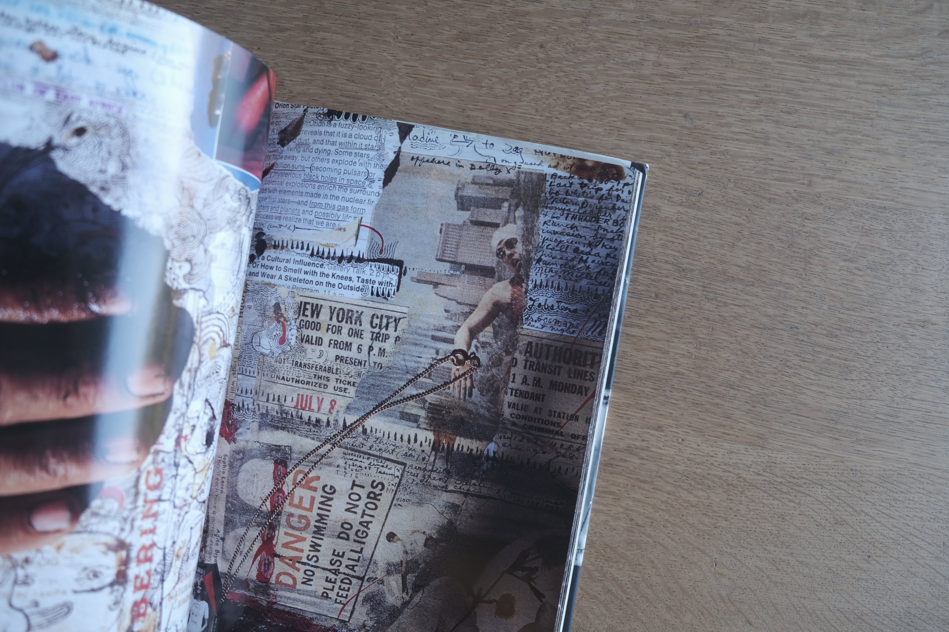 Peter Beard『Diary』ピーター・ビアード 日記 写真集｜飯沢耕太郎 解説｜リブロポート 1993年 初版