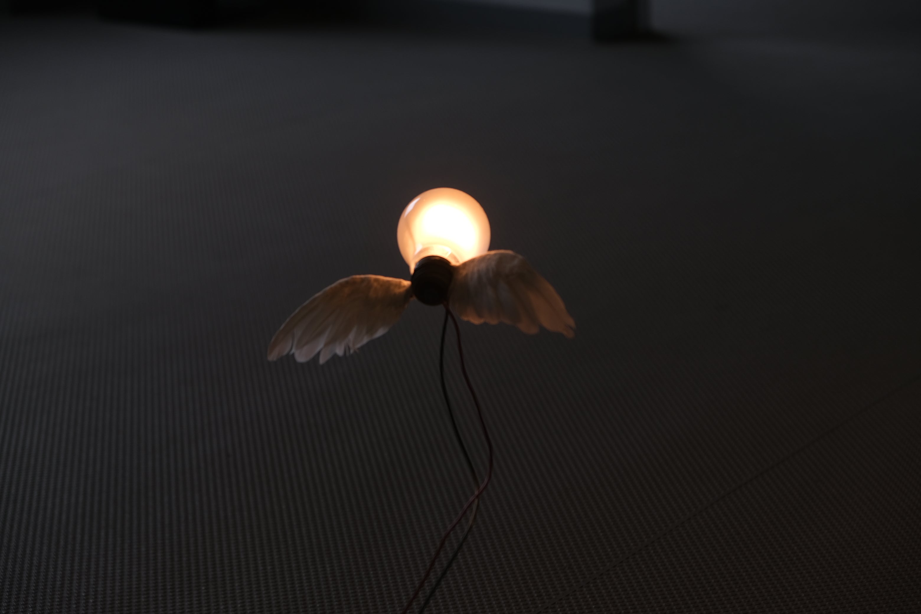 ［再入荷］インゴマウラー ルーチェリーノ ランプ 中古照明 羽のアート スタジオノイ INGO MAURER Lucellino Lamp Studio NOI