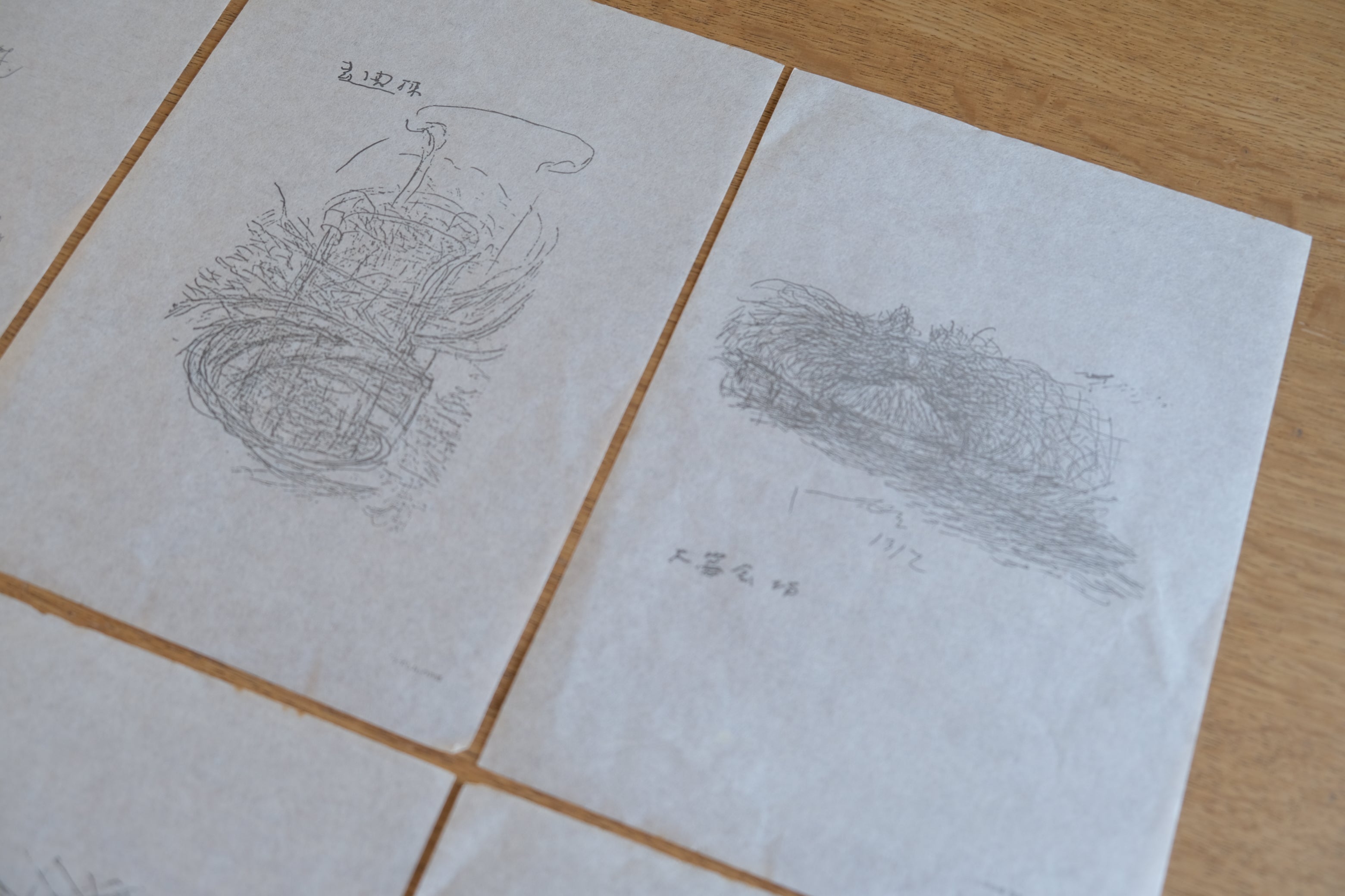 村野藤吾 イメージと建築 生誕100年記念 新建築社 e1114 村野藤吾賞