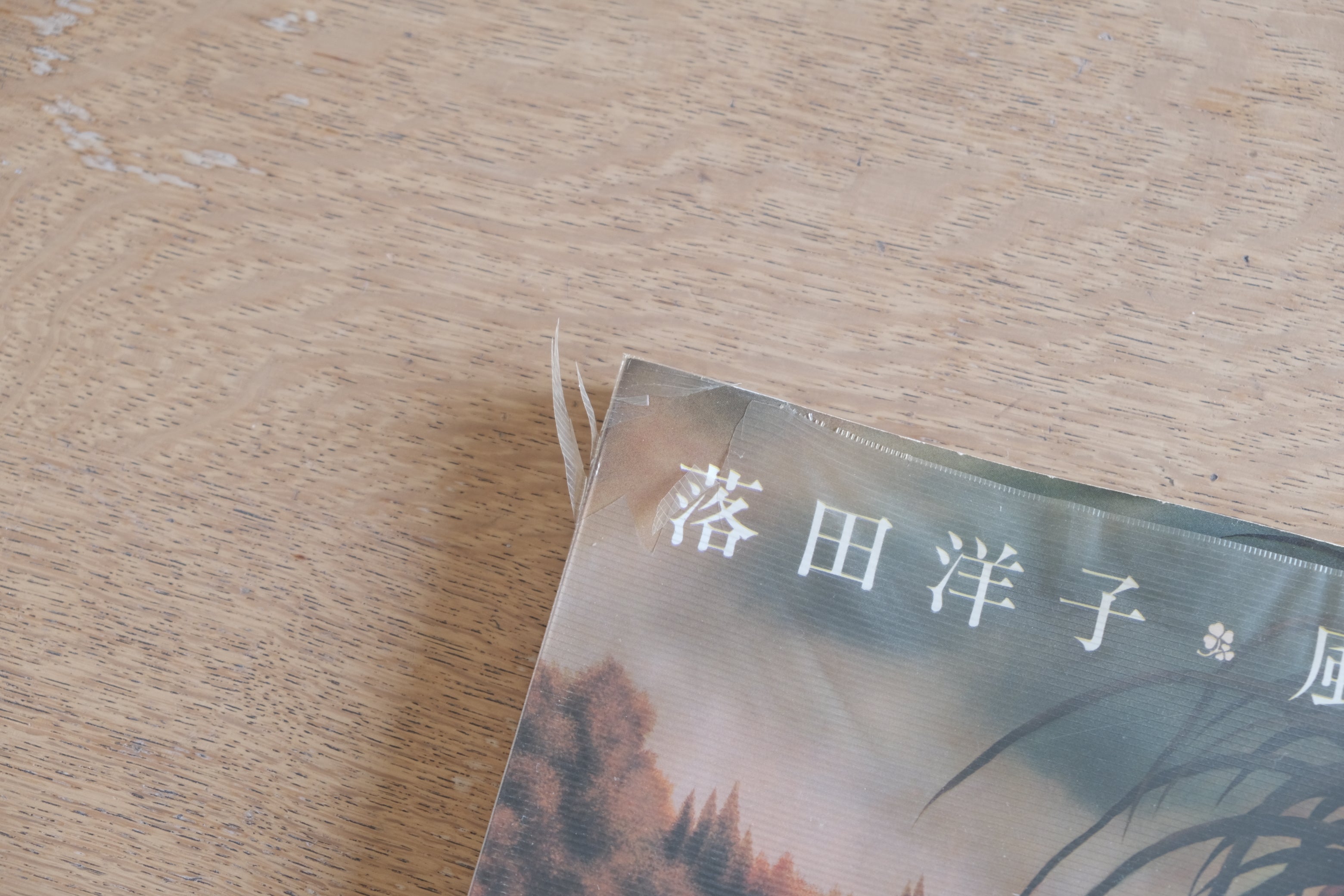 落田洋子『風の祝祭』帯なし｜美術出版社 1981｜ビニールカバー痛みあり・作品集