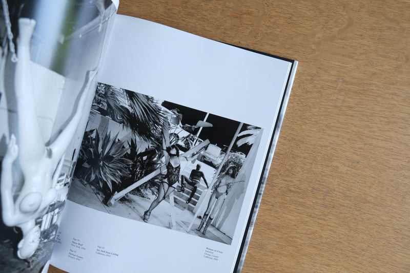 Helmut Newton Sex and Landscapes 写真集 ヘルムート・ニュートン ランドスケープ ファッション 巨匠 - 写真集