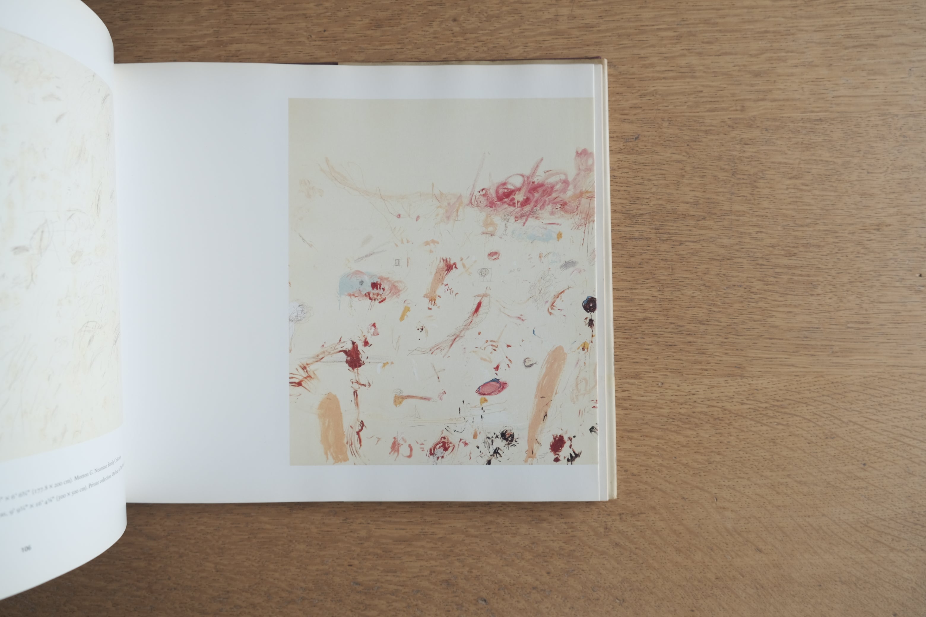 Cy Twombly: A Retrospective｜サイ・トゥオンブリー回顧展カタログ｜1994年 MoMA作品集