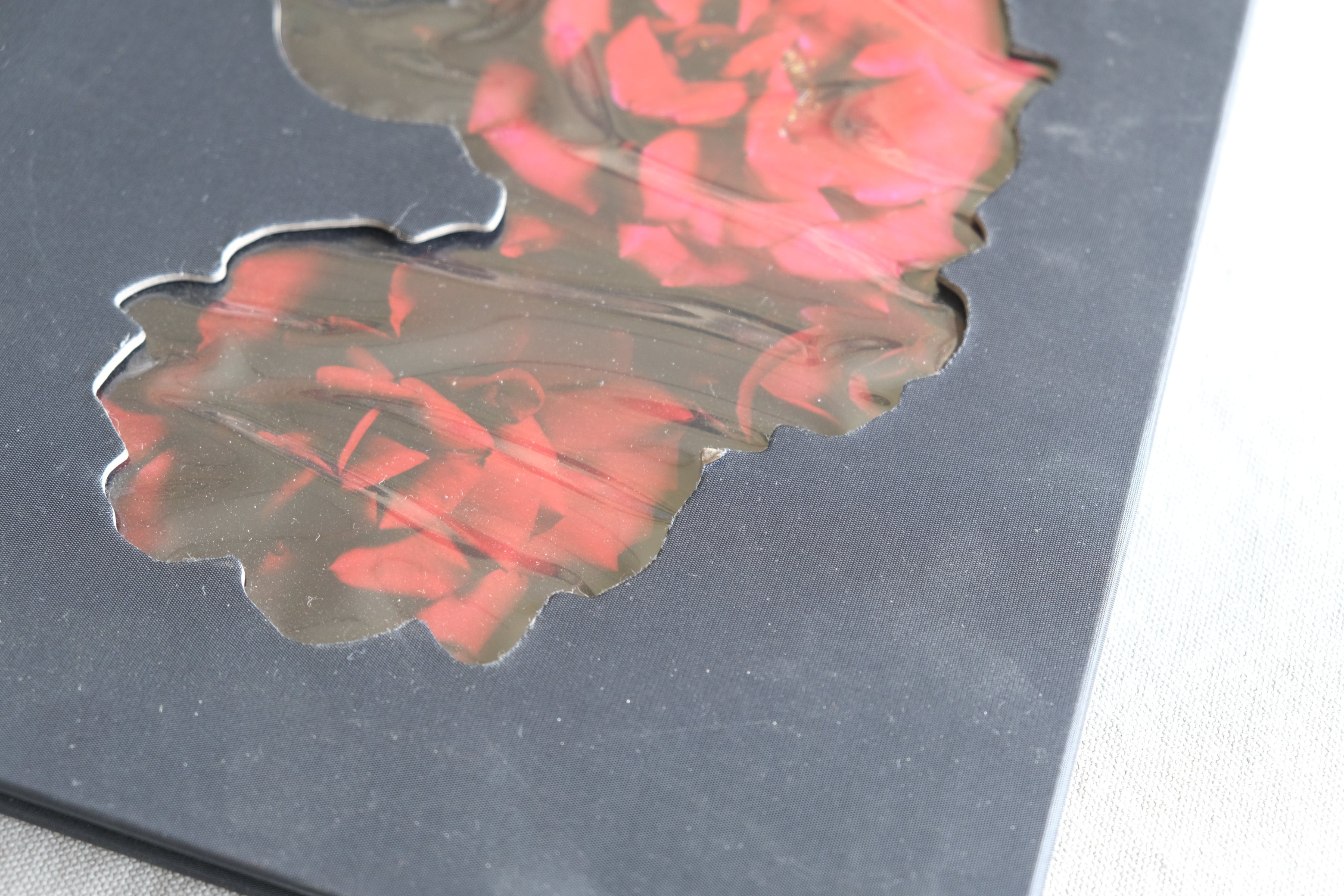 VISIONAIRE 40: Roses David Sims｜デヴィッド・シムズ バラ写真集 2003年