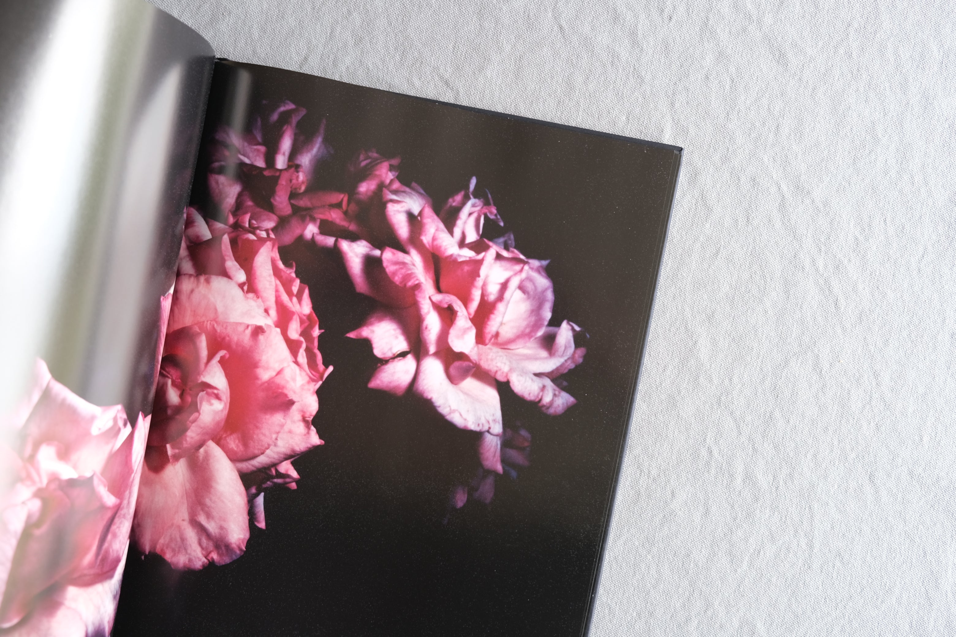 VISIONAIRE 40: Roses David Sims｜デヴィッド・シムズ バラ写真集 2003年