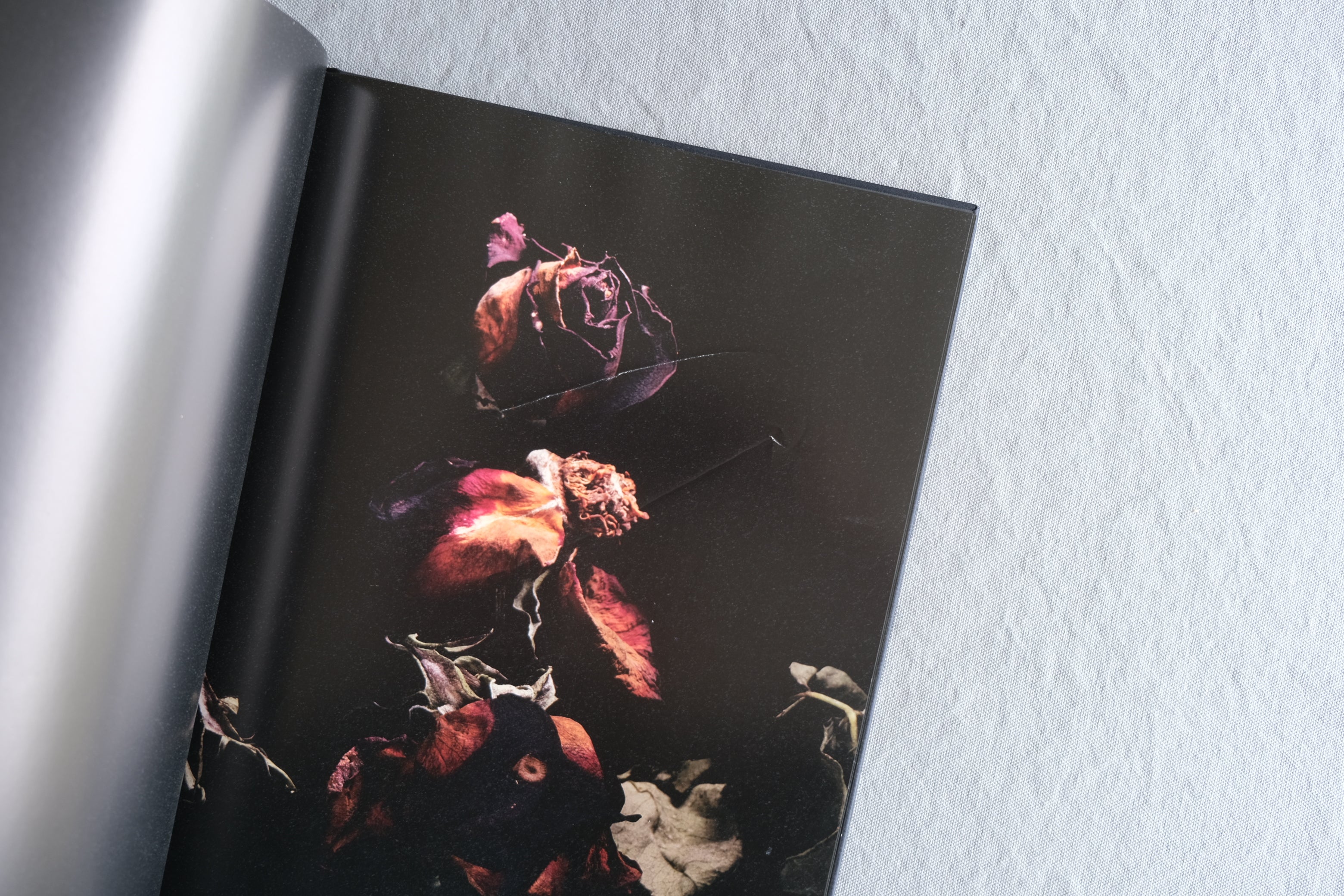 VISIONAIRE 40: Roses David Sims｜デヴィッド・シムズ バラ写真集 2003年