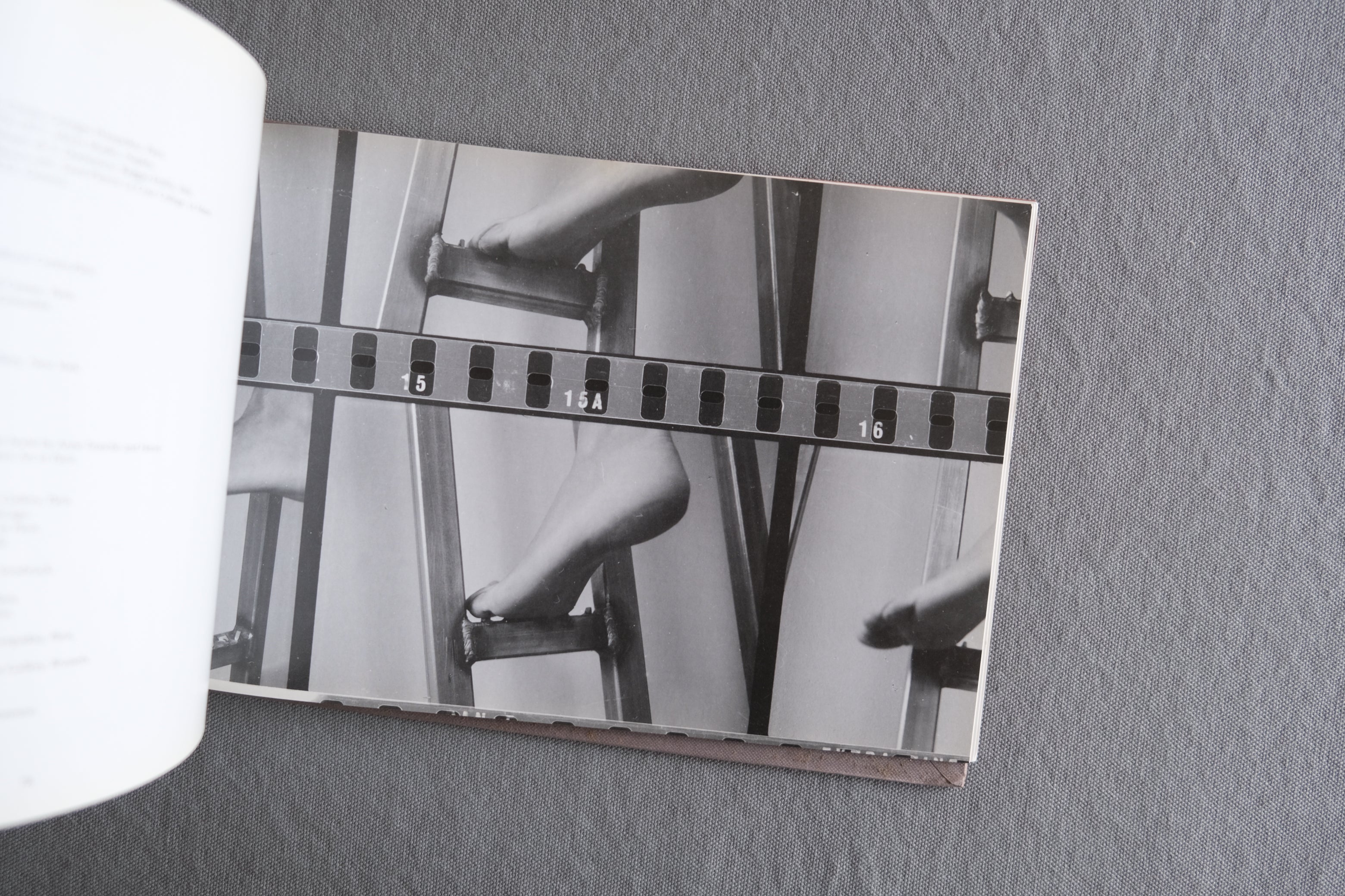 Gina Pane｜ジーナ・パーネ作品集 John Hansard Gallery 2002年