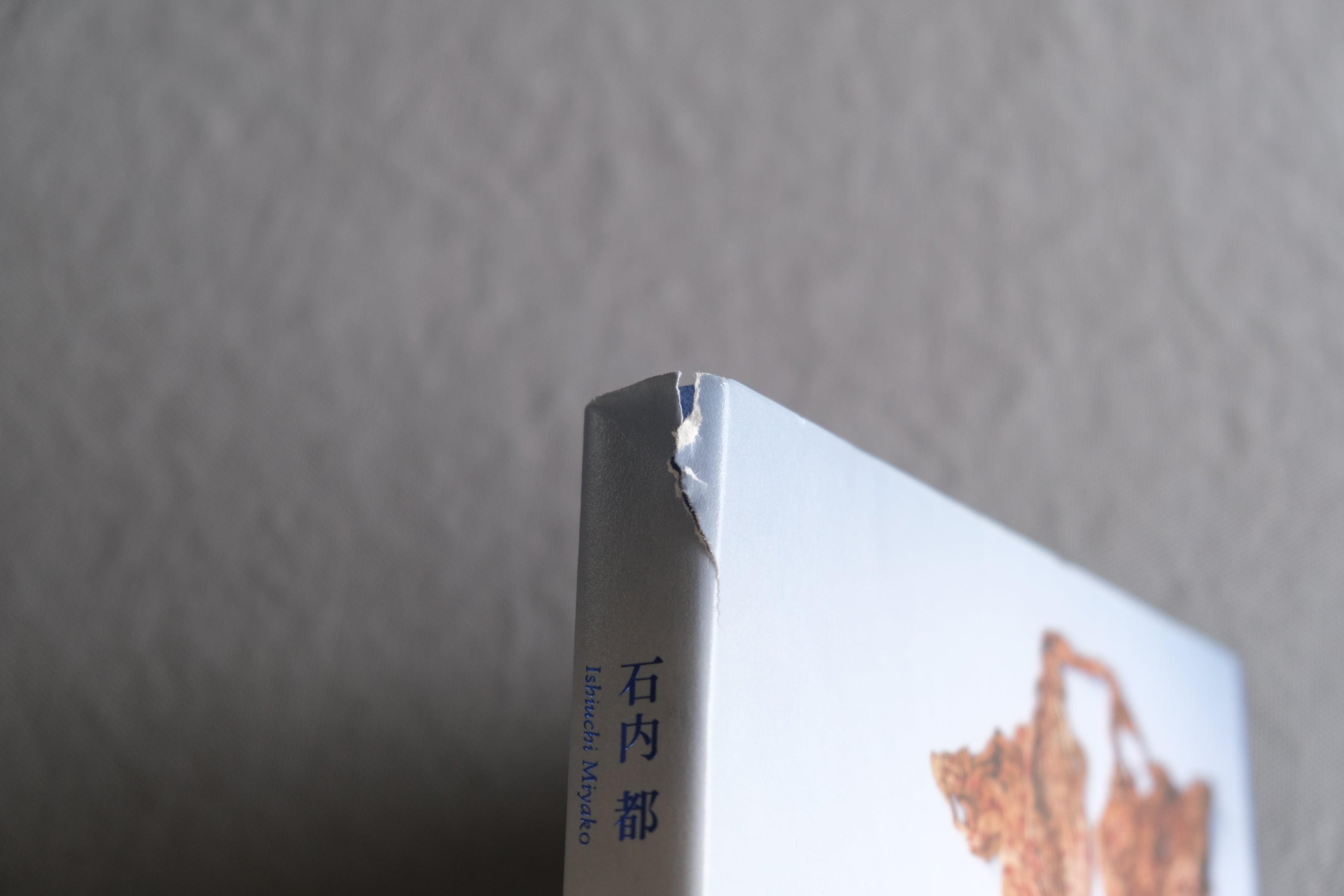 石内都 肌理と写真 GRAIN AND IMAGE｜2017年初版・署名入り展覧会図録