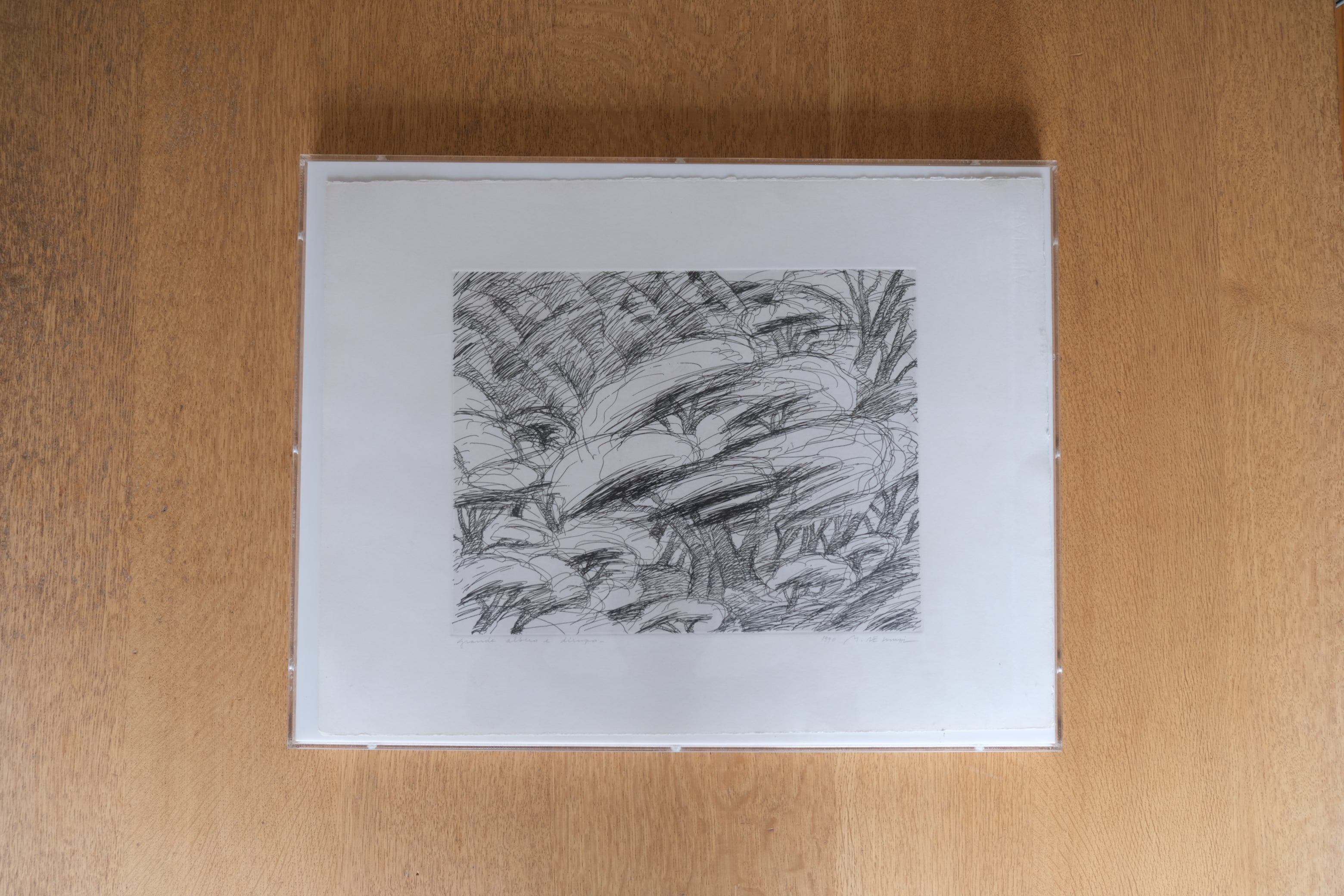 【直筆サイン入り・希少銅版画】ミケーレ・デ・ルッキ《grande albero e dirupo》｜Memphis
