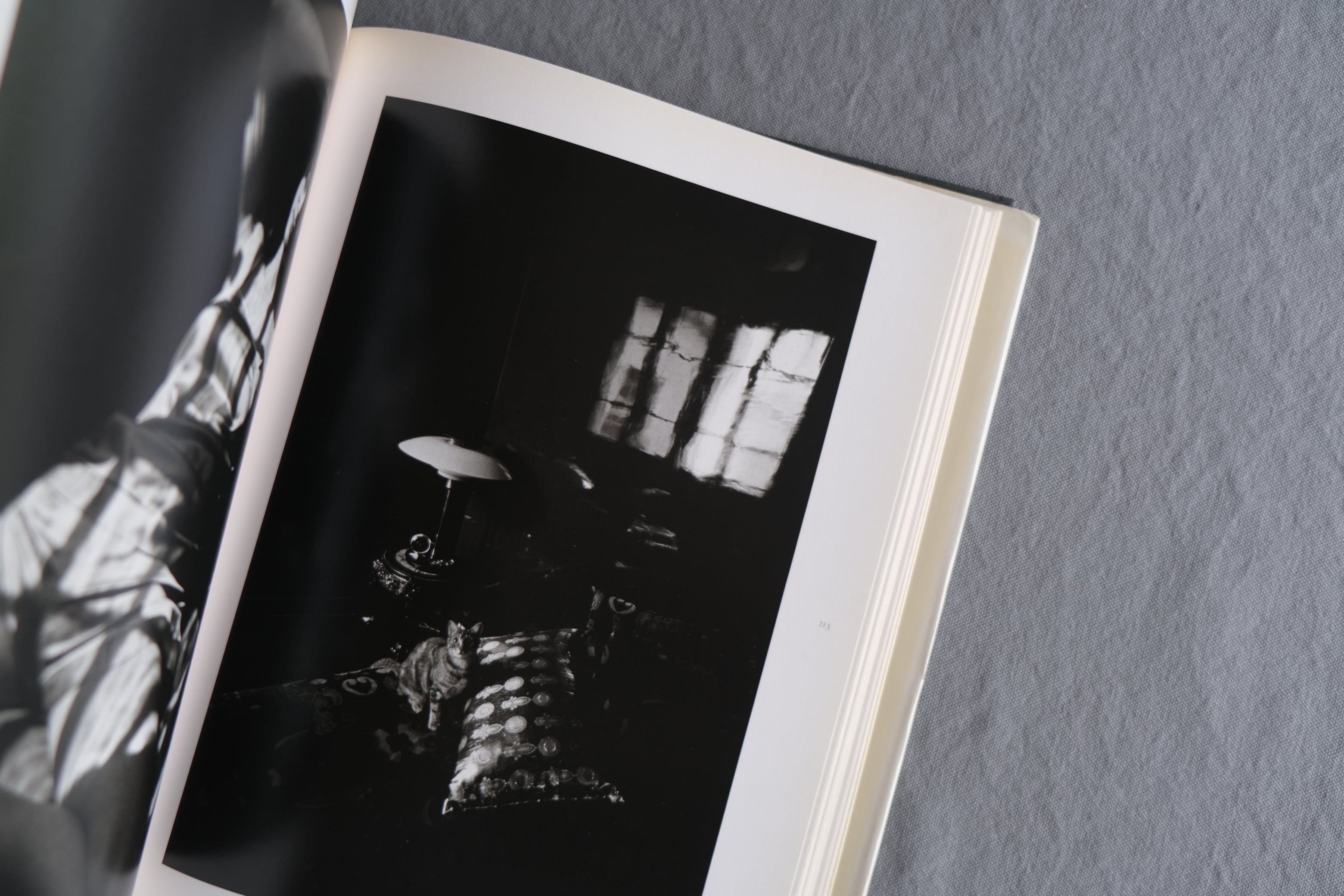 Demain le temps sera plus vieux｜Jeanloup Sieff 1950–1990 ジャンルー・シーフ写真集 フランス語版