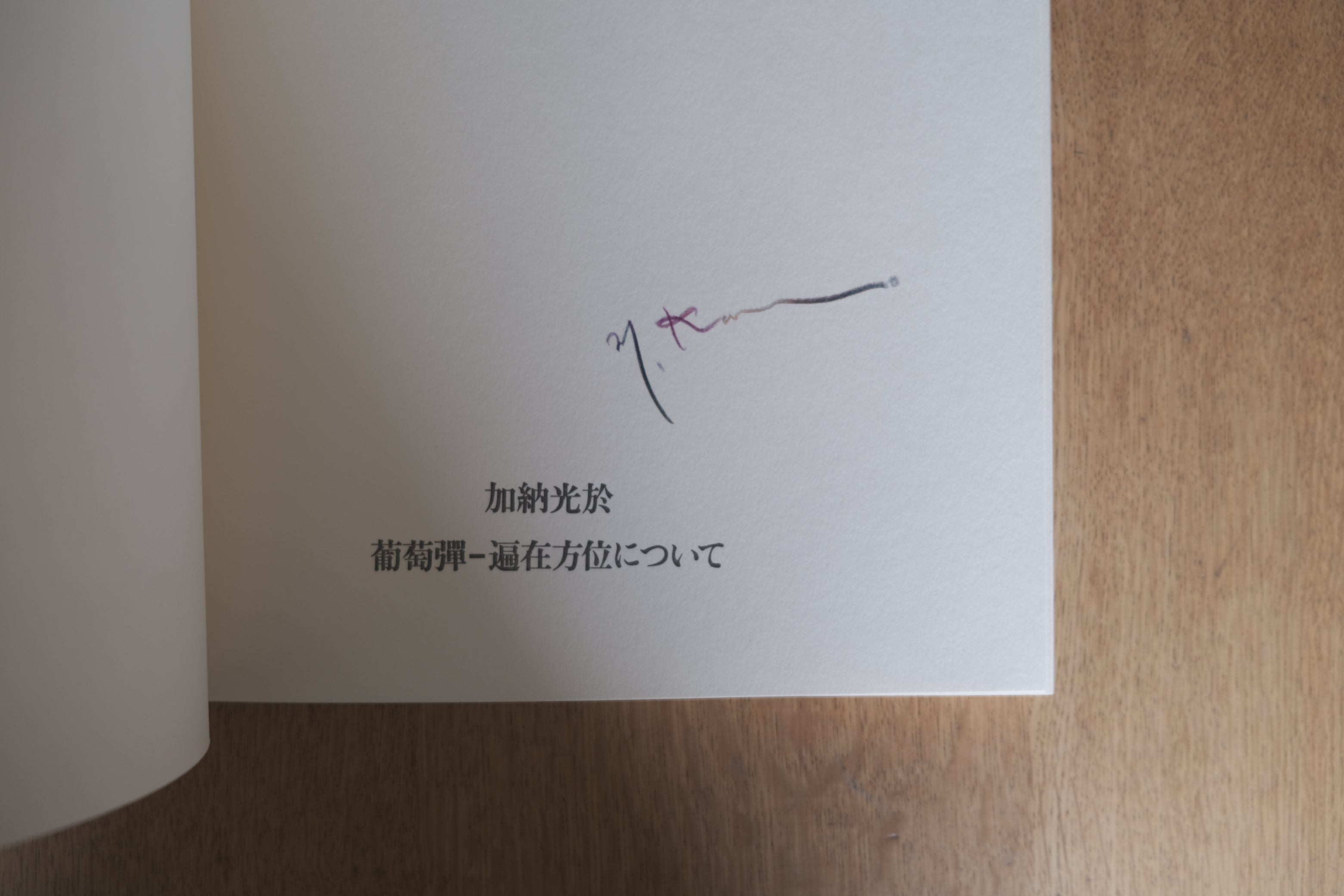 加納光於 葡萄弾―遍在方位について 限定800部 署名入 オリジナル版画付 美術出版社 1973年