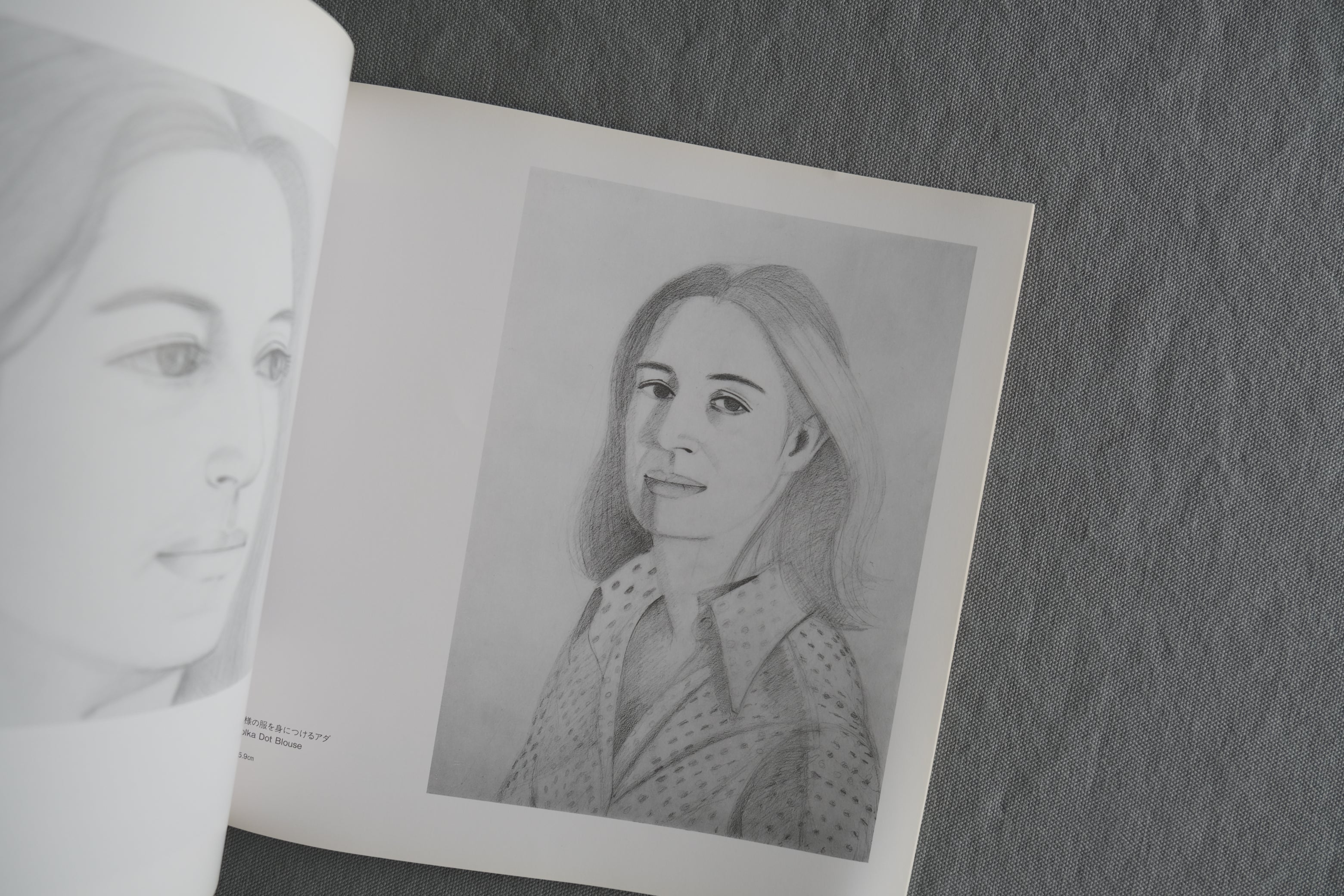 アレックス・カッツ展 透明な都会の日常。｜Alex Katz｜シードホール｜1988年