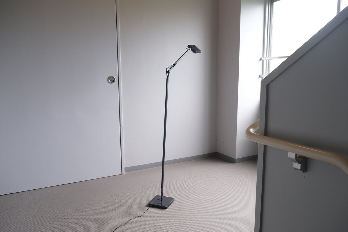FLOS KELVIN F LED フロアライト｜Antonio Citterio アントニオ・チッテリオ｜ブラック