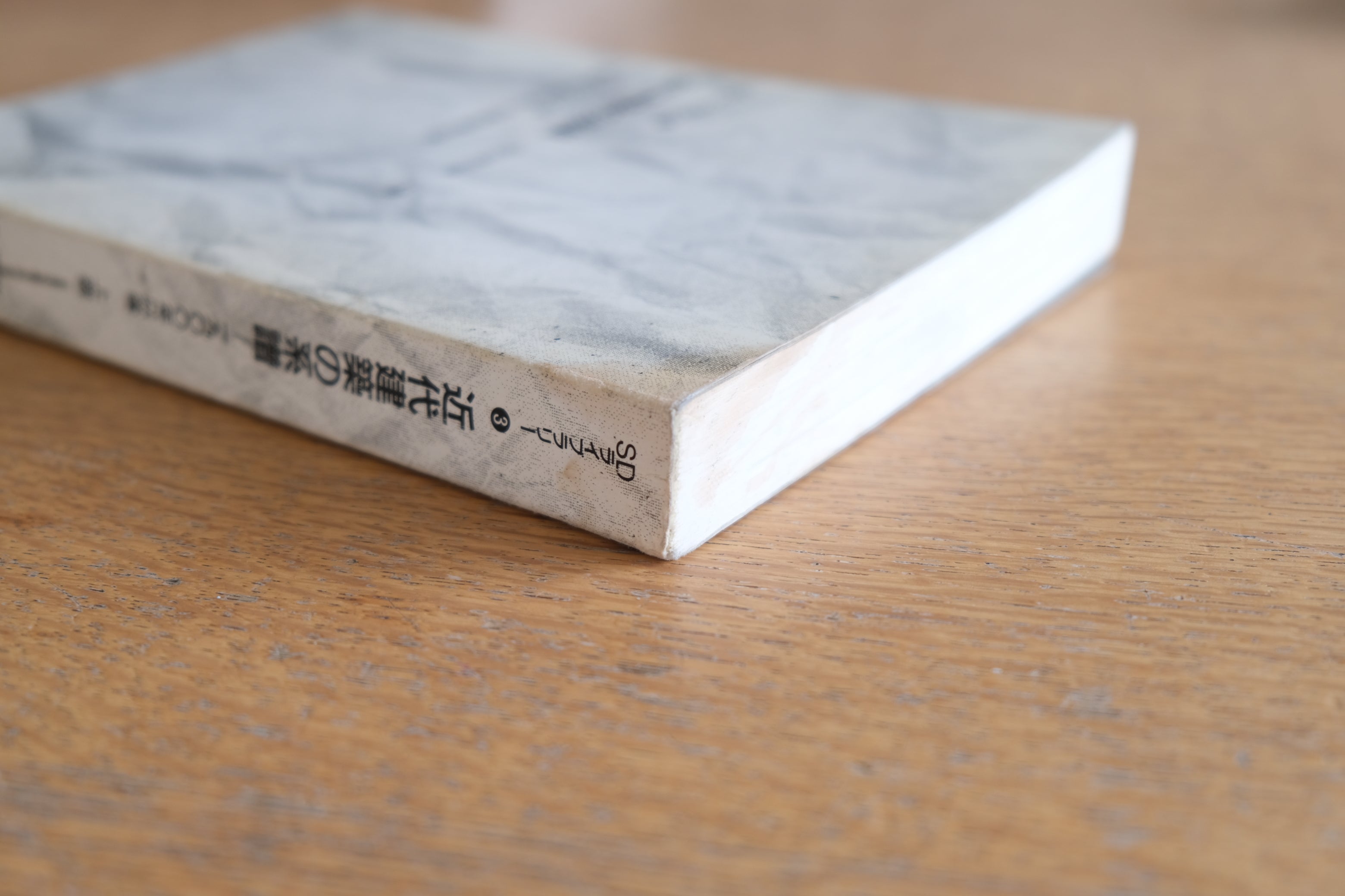 近代建築の系譜 1900年以後 上下巻揃／W.J.R.カーティス（SDライブラリー3・4）