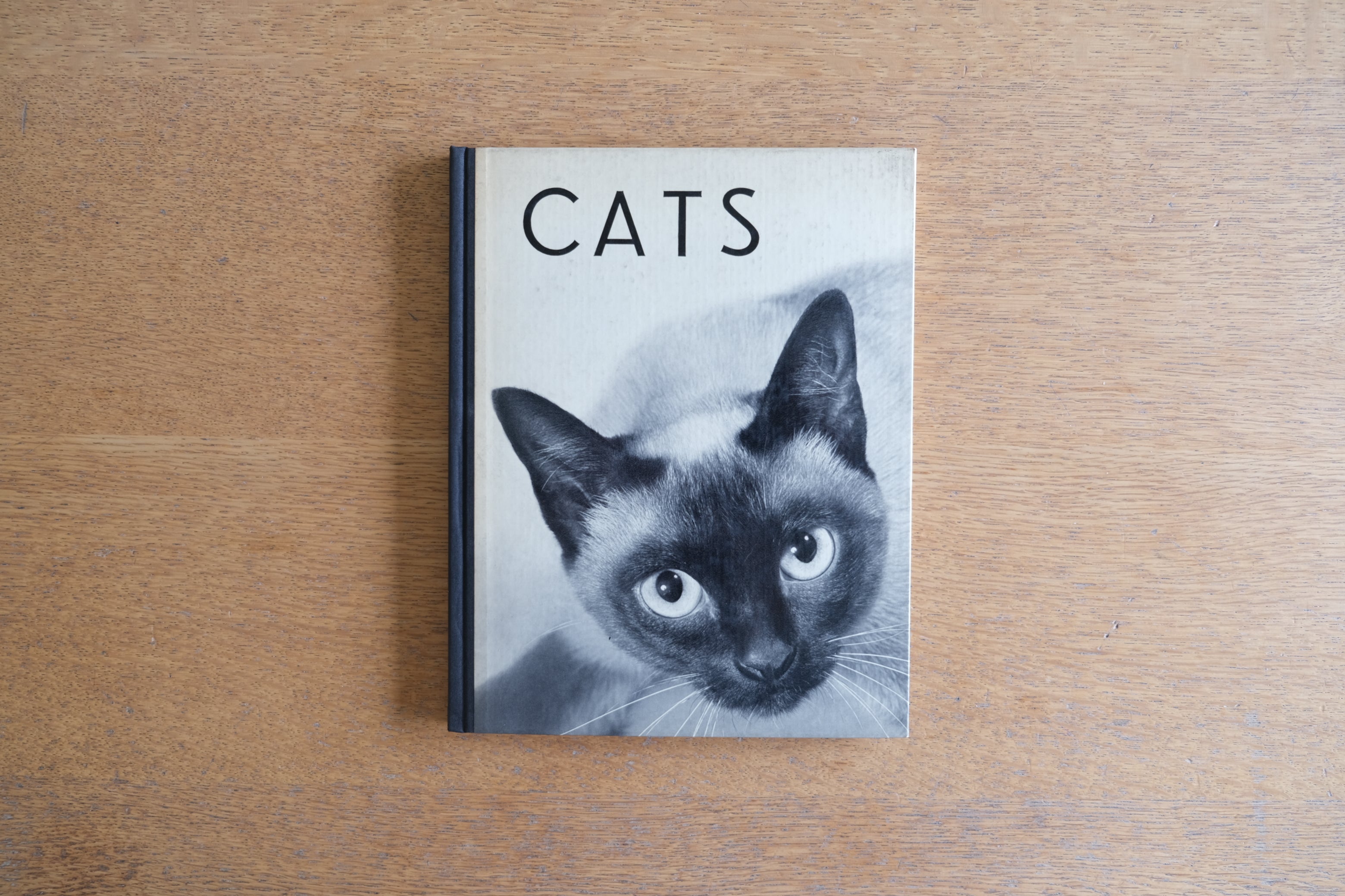 激安ブランド CATS HANNS REICH 21人のフォトグラファーによる猫の写真を集め アート・デザイン・音楽