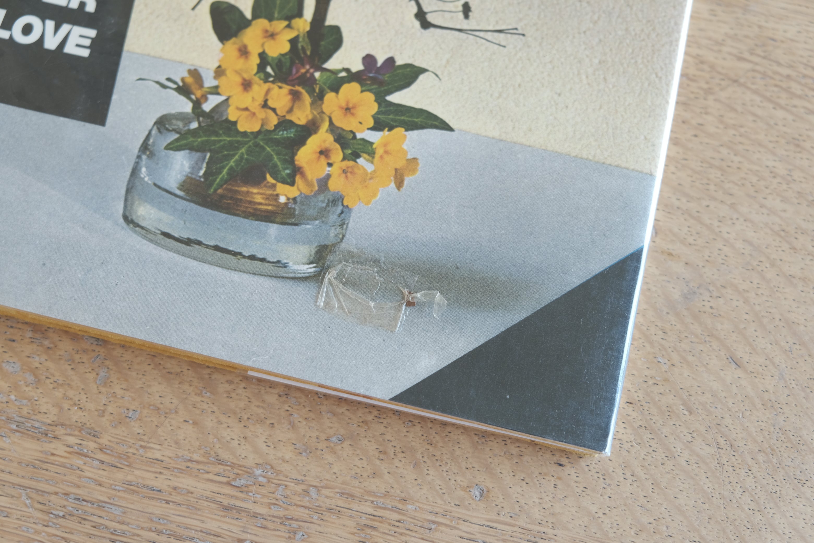 Bruno Munari『A Flower with Love』／ブルーノ・ムナーリ 生け花の