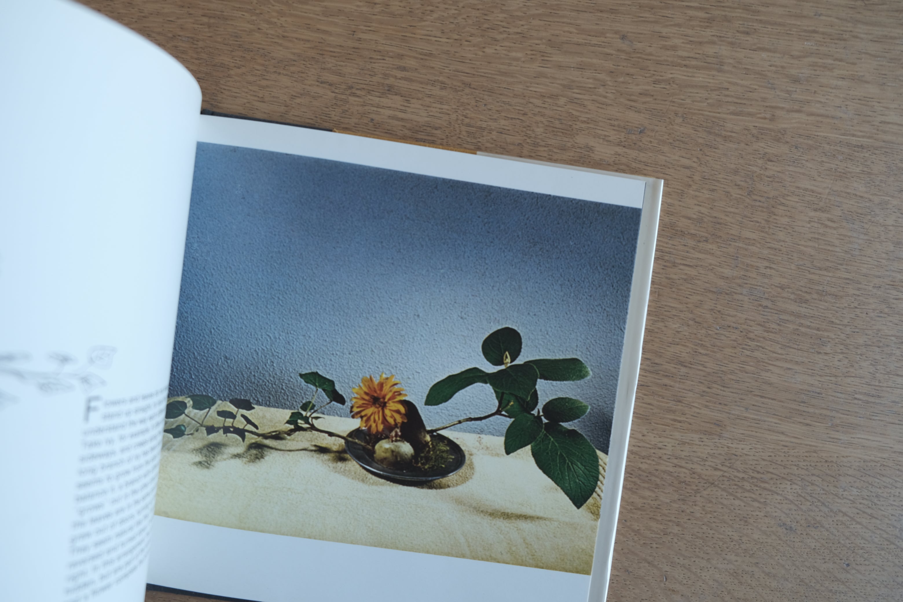 Bruno Munari『A Flower with Love』／ブルーノ・ムナーリ 生け花の