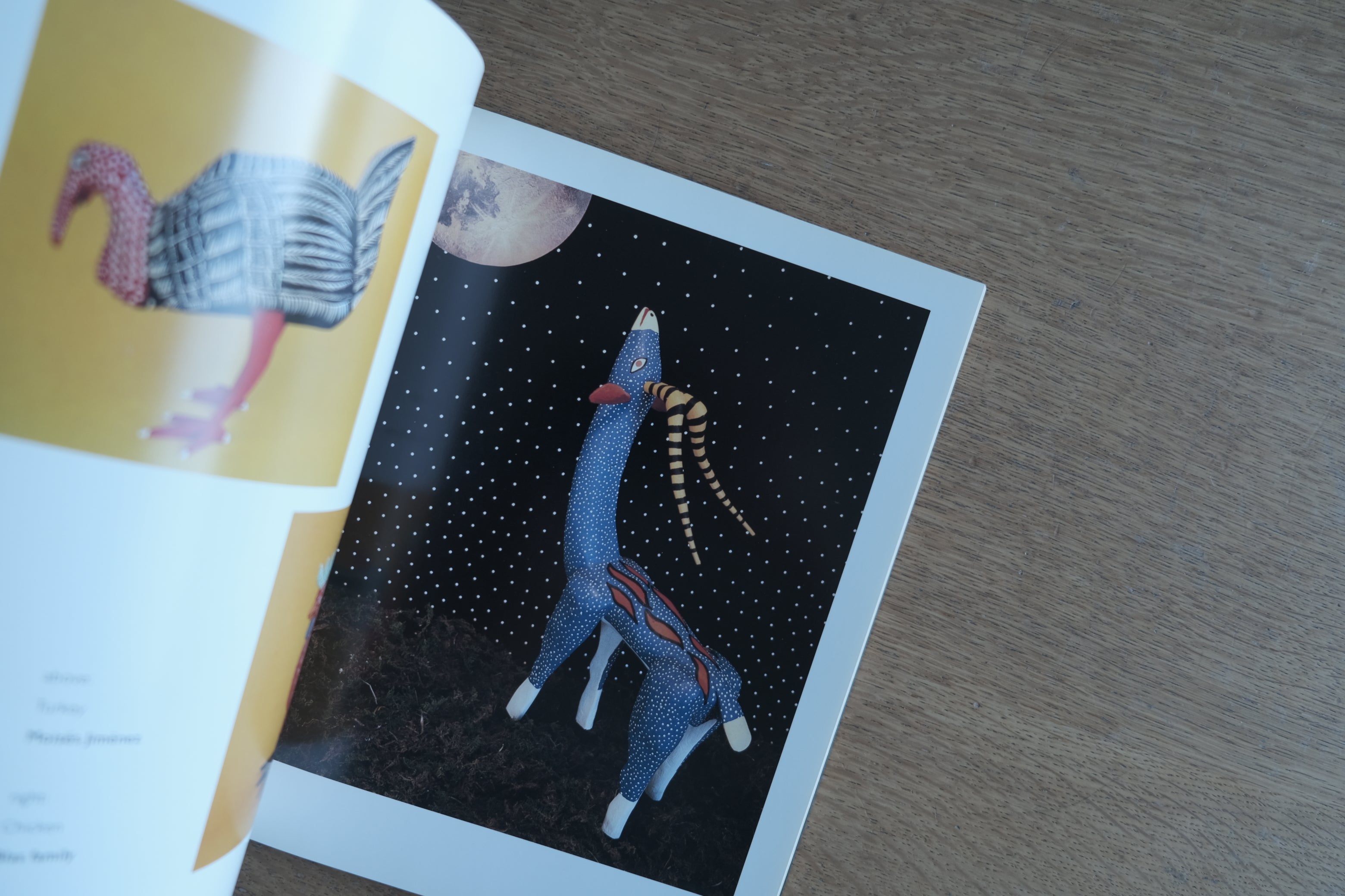 Oaxacan Woodcarving: The Magic in the Trees｜メキシコ・オアハカのフォークアート