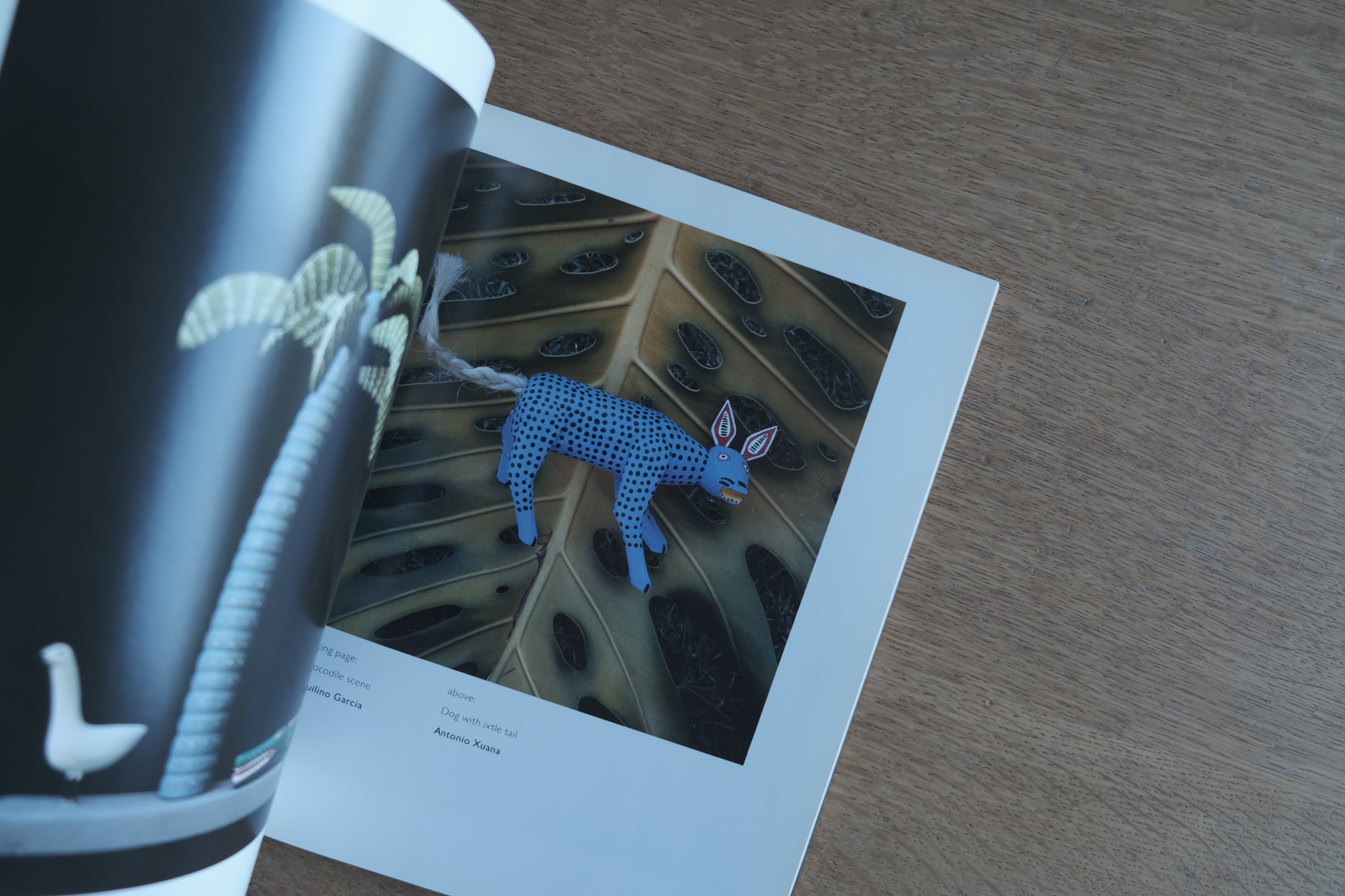 Oaxacan Woodcarving: The Magic in the Trees｜メキシコ・オアハカのフォークアート