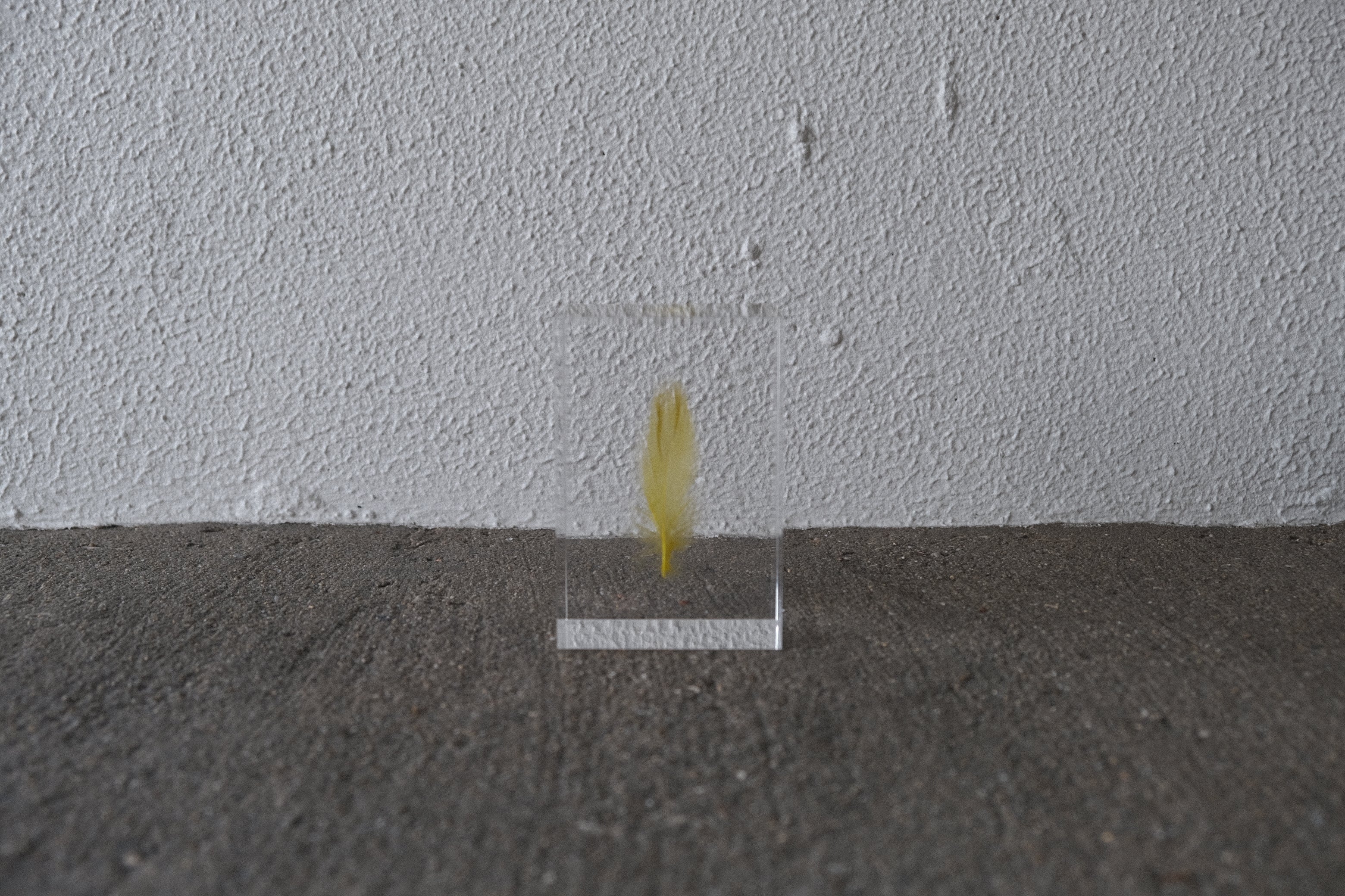 【希少】倉俣史朗 羽根の封印 Shiro Kuramata Floating Feather yellow