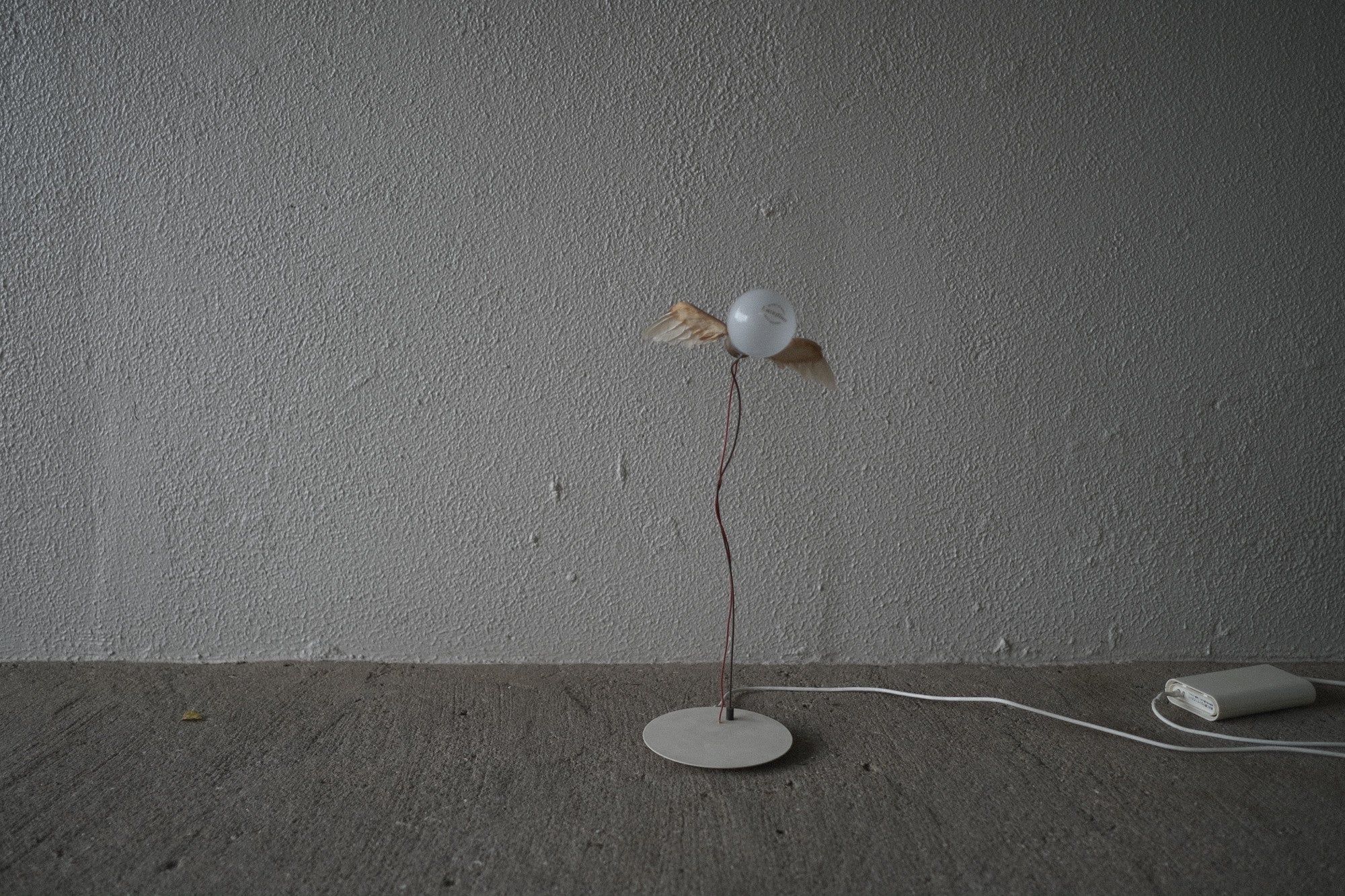 インゴマウラー ルーチェリーノ ランプ 中古照明 羽のアート スタジオノイ INGO MAURER Lucellino Lamp Studio NOI