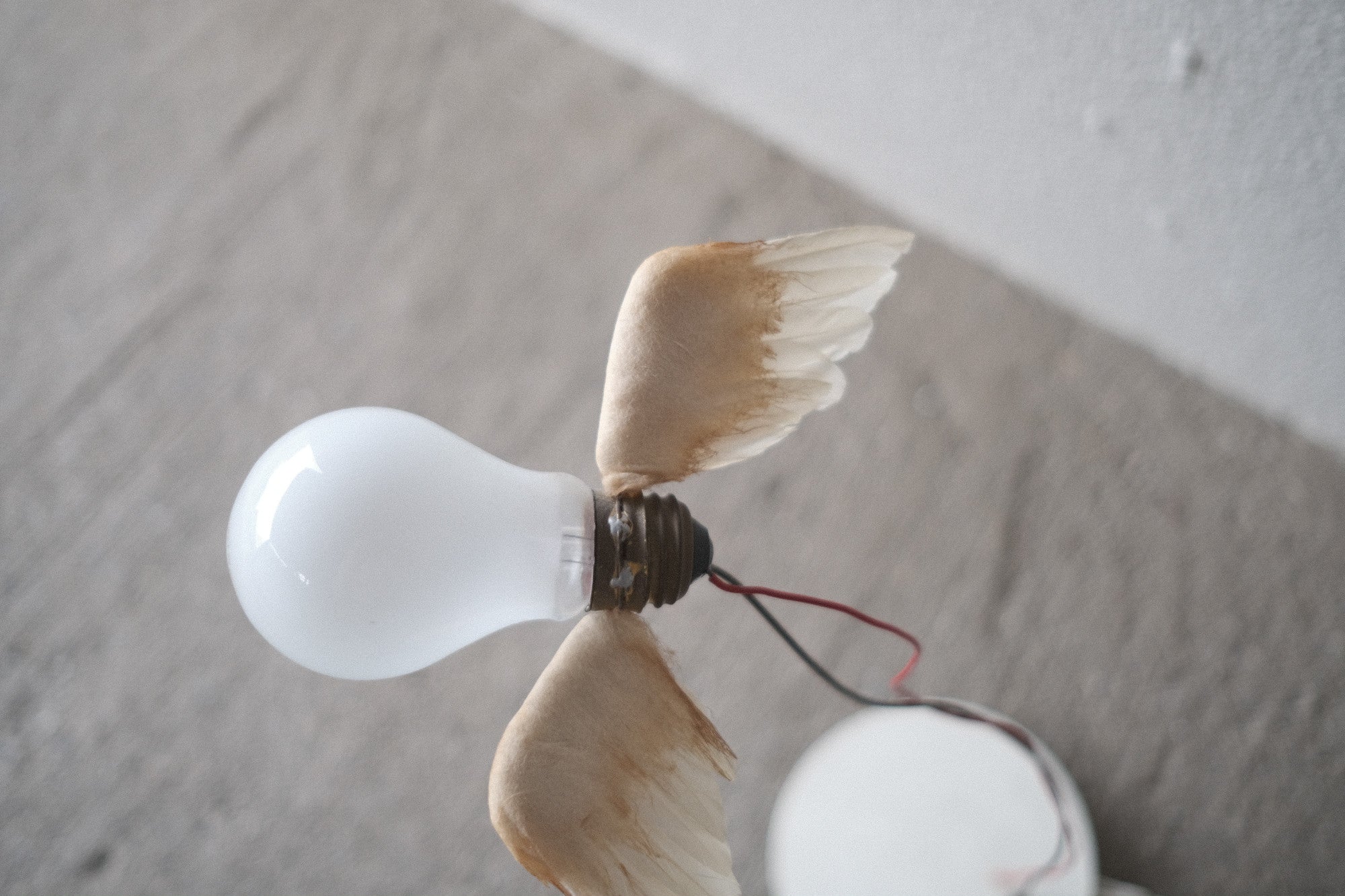 インゴマウラー ルーチェリーノ ランプ 中古照明 羽のアート スタジオノイ INGO MAURER Lucellino Lamp Studio NOI