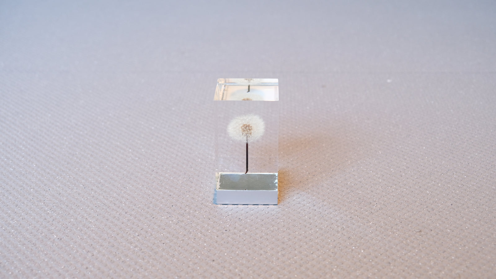 レア】OLED TAMPOPO Light たんぽぽライト 井上隆夫 MOMA 2018