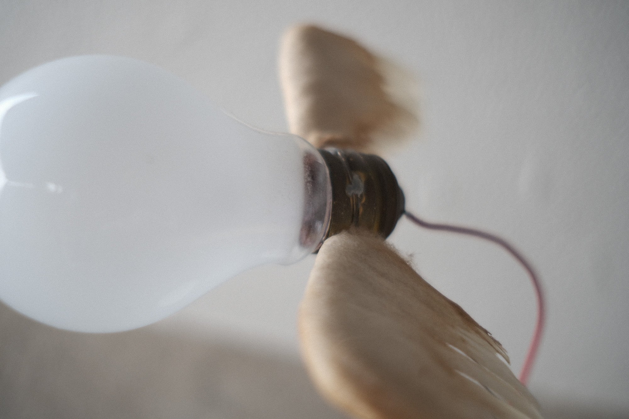 インゴマウラー ルーチェリーノ ランプ 中古照明 羽のアート スタジオノイ INGO MAURER Lucellino Lamp Studio NOI