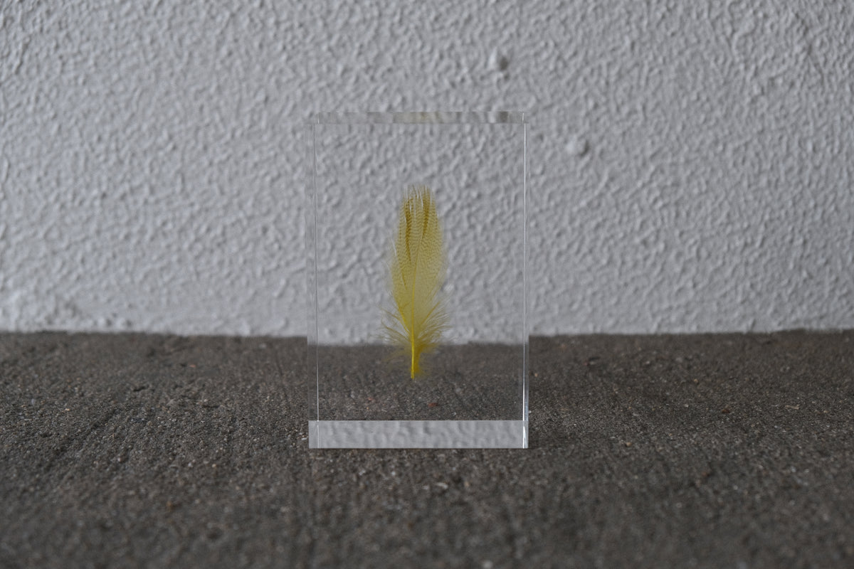 倉俣史朗《Floating Feather Yellow》封印された一片の軽やかさ
