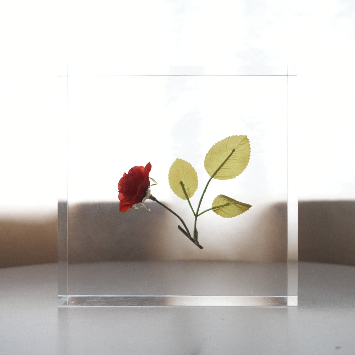 倉俣史朗《Sealing of Rose》― “ミス・ブランチ”と共に生まれた薔薇の封印