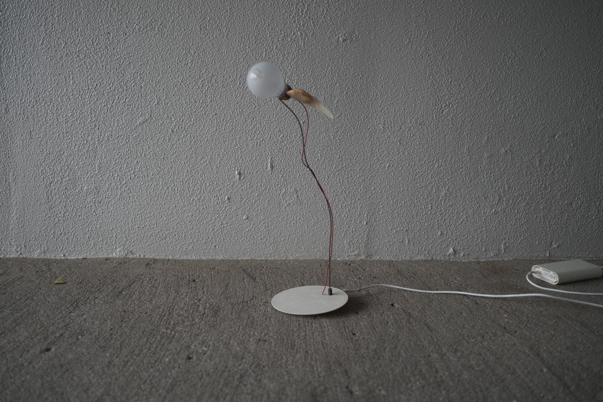 インゴマウラー ルーチェリーノ ランプ 中古照明 羽のアート スタジオノイ INGO MAURER Lucellino Lamp Studio NOI