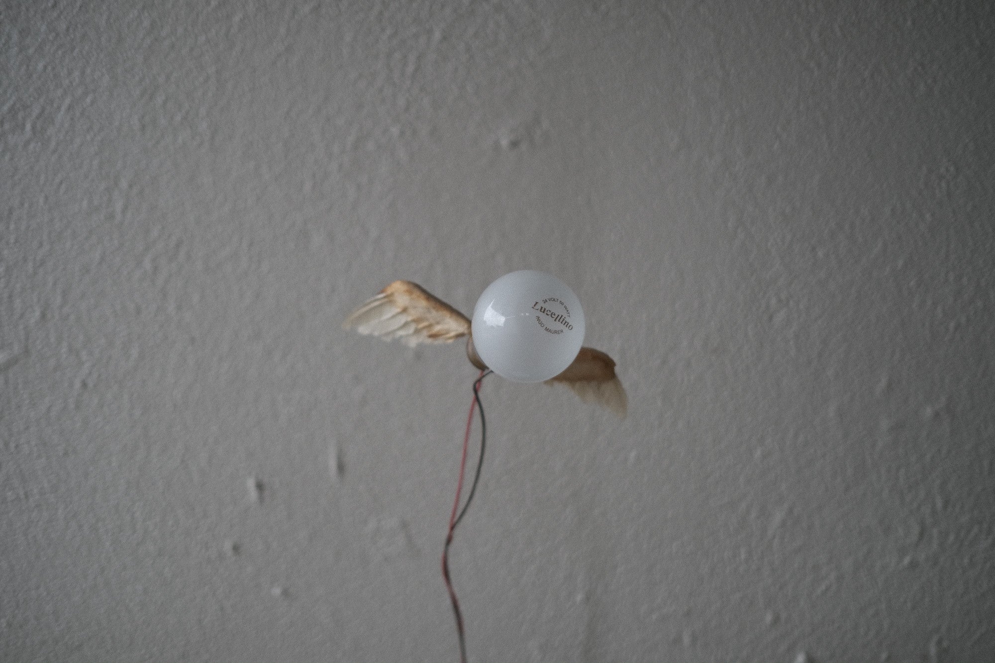 インゴマウラー ルーチェリーノ ランプ 中古照明 羽のアート スタジオノイ INGO MAURER Lucellino Lamp Studio NOI