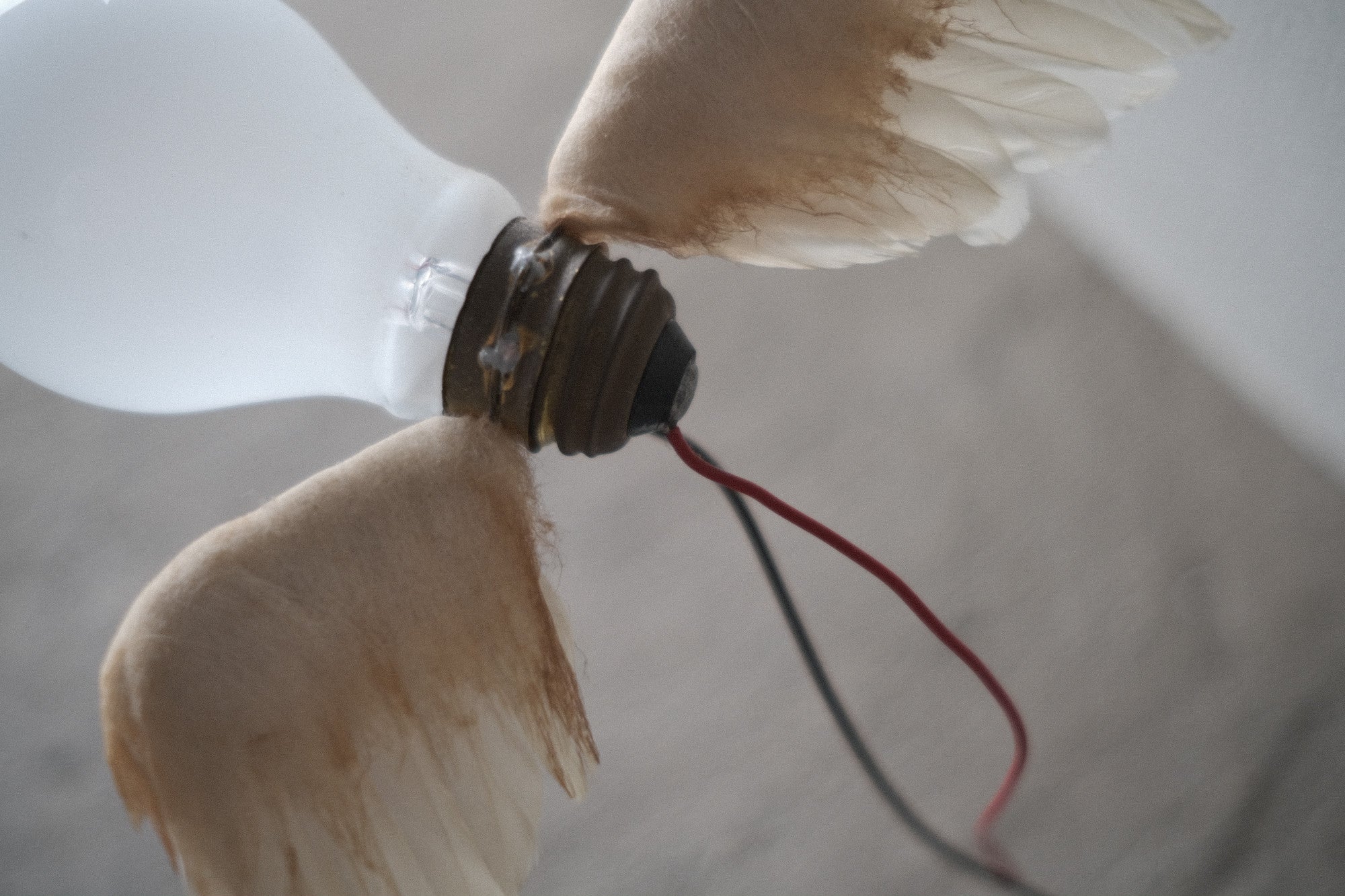 インゴマウラー ルーチェリーノ ランプ 中古照明 羽のアート スタジオノイ INGO MAURER Lucellino Lamp Studio NOI