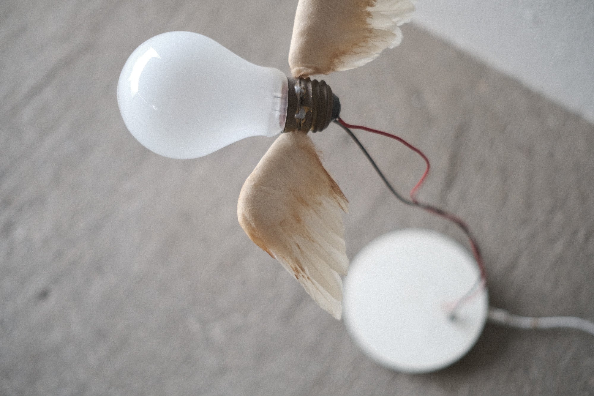 インゴマウラー ルーチェリーノ ランプ 中古照明 羽のアート スタジオノイ INGO MAURER Lucellino Lamp Studio NOI